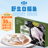 金唐冷冻野生银鲳鱼净重400g/3-4条装 深海白鲳鱼平鱼生鲜水产鱼类