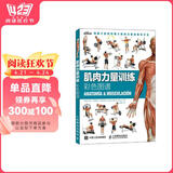肌肉力量训练彩色图谱（异步图书出品） 阅读狂欢节