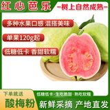 樱鲜红心芭乐低糖低卡脆甜软糯新鲜水果番石榴送酸梅粉孕妇儿童可食 树熟红心芭乐送酸梅粉 3斤(普通装)