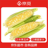京觅云南金银水果玉米 净重3斤单果260g+新鲜蔬菜生鲜棒子源头直发