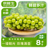 京鲜生 云南阳光玫瑰香印青提 净重450-550g 单果8g+ 生鲜水果源头直发