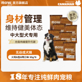 NOW FRESH【成犬粮】增肌健美进口无谷狗粮中大型犬柴犬边牧金毛德牧专用粮 【试吃】成犬狗粮 50gx8
