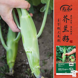 寿禾 鸡腿芥兰种子苗芥蓝四季蔬菜籽 潍育肥翠七号(鸡腿芥兰)种子30g
