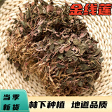 靠农庄 金线莲正宗深山老林采摘福建南靖林下种植整株干品 金线莲【2斤(500X2)】 500g*2袋