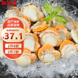 富海锦冷冻带黄扇贝肉 净重2斤 粉丝扇贝食材 火锅烧烤食材海鲜端午聚餐