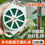 芷郁 园艺扎带包塑扎线铁丝扎线月季植物固定绳捆扎带绑花支架100米