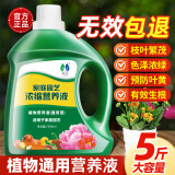 领沃植物通用营养液花肥料家用浓缩盆栽发财树富贵竹绿萝多肉水培花卉 通用型2500ml*1瓶+滴管