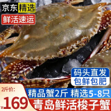 【活蟹发货】青岛梭子蟹鲜活发不包活螃蟹海蟹飞蟹超大母蟹海鲜 鲜活-高品质梭子蟹【2斤5-8只】