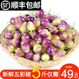 辰实【现摘发顺丰】广西七彩椒 五彩椒 特产彩椒灯笼小辣椒 5斤【推荐】