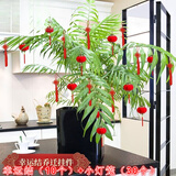 相思桐植绒小灯笼福字挂件蛇年2025新年装饰品元旦盆景发财树上春节客厅 幸运结（10个）+小灯笼（30个）