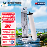 道尔顿（Doulton）净水器滤芯英国原装进口天然矽藻瓷滤芯 M10 BSPUCC同港版9504道尔顿专用滤芯