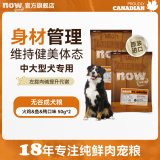 NOW FRESH【成犬粮】增肌健美进口无谷狗粮中大型犬柴犬边牧金毛德牧专用粮 【试吃】成犬狗粮 50gx2