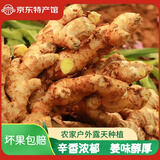 珠源小滇滇云南高山小黄姜  农家自种 现挖现发 带箱1斤小黄姜