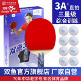 双鱼（DOUBLE FISH） 乒乓球拍初学者成品拍双面反胶皮套装快攻型学生业余训练乒乓拍 竖拍 3A+直拍 （单）12球