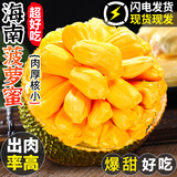 粤迎海南黄肉菠萝蜜当季热带新鲜水果波萝蜜黄肉干苞一整个热带水果 净20-25斤【店长力荐款】
