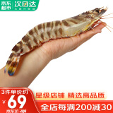 哆鲜生 海捕竹节虾 活冻国产斑节虾大花对虾九节竹节鬼虾生鲜虾类 竹节虾 大号 7-9条 300g(净重)