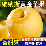琪江果山东烟台黄金维纳斯苹果 栖霞黄苹果当季新鲜水果整箱 黄金维纳斯苹果4.5-5斤单果160g+