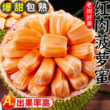 速发越南黄肉菠萝蜜新鲜水果泰八波罗红心菠萝蜜一整个当季水果整 【越南红 | A+级 大果】10-12斤 JD/顺丰送上门
