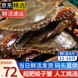 【活蟹发货】青岛梭子蟹鲜活发不包活螃蟹海蟹飞蟹超大母蟹海鲜 鲜活-高品质码头直供4斤12-16只