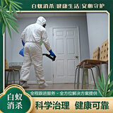 附近本地专业上门灭白蚁杀虫 除白蚁家庭白蚁防治白蚁消杀白蚁 上门家庭服务公司 上门消杀白蚂蚁 白蚁消杀上门服务