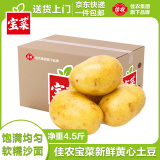 佳农宝菜黄心土豆净重4.5斤洋芋滕州土豆地标健康新鲜蔬菜 源头直发