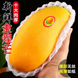元珍鲜诚 海南青皮芒果 新鲜水果 热带大青 芒果 孕妇整箱现摘当季水果 5斤装（净重4.5斤）单果150g+