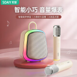 索爱（soaiy）K32M蓝牙琉璃唱歌神器K歌双麦克风音箱一体式内置声卡智能AI小度点歌家用ktv音响套装卡拉ok白礼物