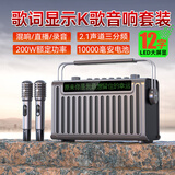 山水（SANSUI）便携式手提音箱广场舞音响音箱带KTV无线话筒小型直播k歌音响移动户外大功率声卡卡拉OK E96【歌词同步+直播录音】