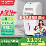 新典 工业除湿机 车间仓库厂房大功率抽湿机 地下室大面积吸湿 升温烘干除湿器冷库低温抽湿器 65L/天 70-150㎡ XD-70CSH 车间/仓库/地下室 大功率 商用吸湿器