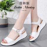 百林猴凉鞋女夏软皮时尚休闲厚底坡跟松糕跟一字带凉拖女生百搭防滑女鞋 白色 37
