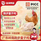 温润食品岭南特色跑步童子鸡650g*2 走地鸡土鸡嫩鸡 红烧白切盐焗爆炒烧烤