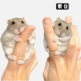 麦叮卡长毛金丝熊活体波利宠物仓鼠活物小仓鼠活体金丝鼠一公一母侏儒鼠 1只紫仓【发京东快递】