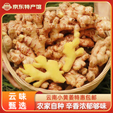 滇鲜生新鲜新姜云南小黄姜农家自种生姜新鲜蔬菜月子姜带泥发货 净重3斤