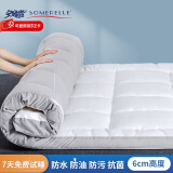 安睡宝（SOMERELLE） 床褥 杜邦特氟龙三防软床褥子宿舍榻榻米床铺垫被子加厚姨妈垫瑜 90*200cm灰边【学生款】