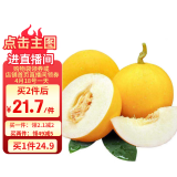 京鲜生 黄河蜜甜瓜 1粒装 单果4斤起 生鲜水果