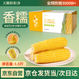 天勤粒粒净有机黄糯玉米8穗*220g（3.5斤）玉米棒低脂玉米真空包装早餐代餐