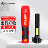及安盾消防气溶胶灭火器灭火贴车载便携式小型手持式灭火器新能源汽车油车 50g 气溶胶 气溶胶+多功能手电