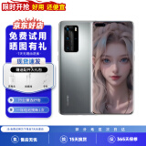华为P40 华为P40pro 华为p40二手 p40pro二手 二手华为手机 二手游戏手机 5G手机 P40Pro 冰霜银（5G版） 95新 8GB+256GB（下单限时赠20w快充）