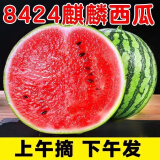 晟容果蔬麒麟西瓜新鲜云南西瓜时令应季水果甜瓜新鲜现摘清甜可口现货速发 净重8-9斤(精选家庭装)