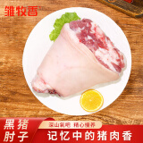 雏牧香黑猪前肘子 净重2斤-2.5斤 生鲜猪肉前肘生态土猪 源头直发