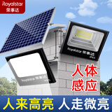 荣事达太阳能灯庭院灯户外照明灯家用路灯LED防水投光灯室外景观灯