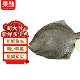 果勋超大号多宝鱼包冰净重3-3.6斤共3条鲜活冷冻比目鲽鱼海鲜水产鱼类