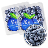 陇百味云南蓝莓高山脆甜花香蓝莓鲜果 新鲜现摘应季热带时令水果 当季现摘2盒尝鲜装 每盒净重100g 精品特惠中果 单果15-18mm