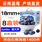 蒲恋云南蓝莓【多地次日达】现摘高山花香蓝莓新鲜水果当季宝宝辅食 商超级【单果18mm+ 】礼盒装 【110g-125g】*4盒【聚划算】