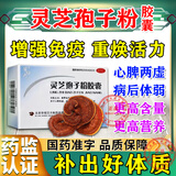 灵芝孢子粉胶囊 破壁灵芝孢子粉国药准字增强免疫力改善睡眠 健脾益气 养心安神 1盒【国药准字OTC】