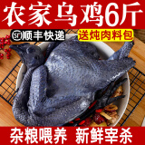 王氏正德乌鸡生鲜鸡肉 新鲜冷冻农家散养土鸡白条鸡整只白羽乌鸡肉 乌鸡2只（约3斤/只）带料包