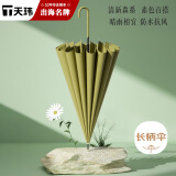 天玮伞业自动晴雨伞长柄伞16骨加固抗风伞骨直杆非定制
