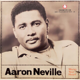 阿隆·尼维尔：温暖你的心（CD）