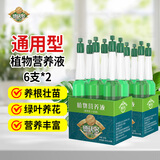 德沃多肥料植物营养液绿萝通用型土水培盆栽多肉发财树富贵竹养花卉生根液肥 营养液2盒（12支）