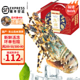 时寐东山岛大花龙虾锦绣花龙虾大青龙虾礼盒春节送礼年货 大花龙虾2-2.5斤/只